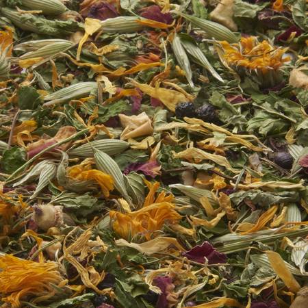 loose leaf organic tea - breast cancer recovery